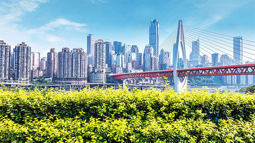 解局 金科跨区域优化与国企入股传闻背后