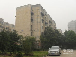 南京钟材厂小区 实景图 11 南京安居客