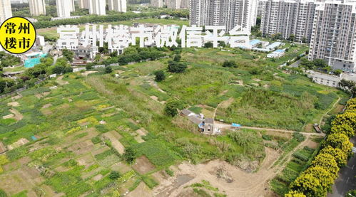 空置15年,3次出让,常州这块地终于被盘活 未来房价