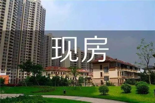 期房预售 问题多,买房人权益如何保障
