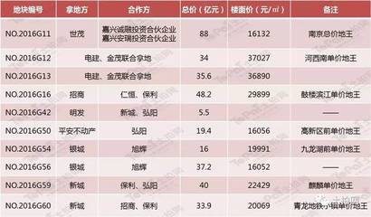 大事记|年终盘点:2016年南京房地产十件大事记