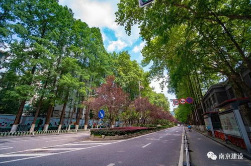 十四五 期间,南京新建商品住房年均上市8万套左右
