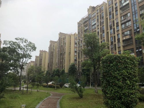 南京又一开发商破产 欠款1.5亿 名下53套房和2块地惨遭处理