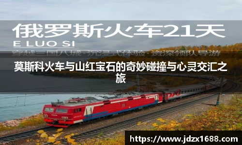 bsports官网入口